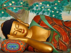 Ảnh bìa bài viết 917465