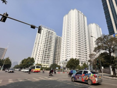 Ảnh bìa bài viết 917439