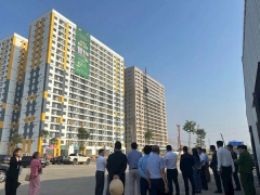 Ảnh bìa bài viết 917508