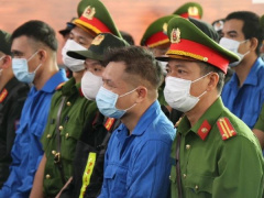 Ảnh bìa bài viết 917734