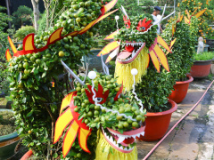 Ảnh bìa bài viết 917590