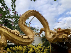 Ảnh bìa bài viết 917658
