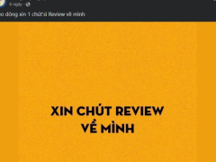 Ảnh bìa bài viết 917699