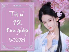 Ảnh bìa bài viết 917753