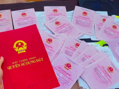 Ảnh bìa bài viết 917871