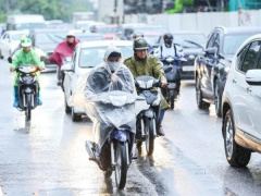 Ảnh bìa bài viết 917912