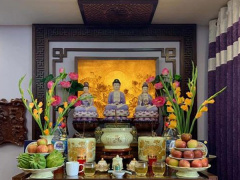 Ảnh bìa bài viết 917967