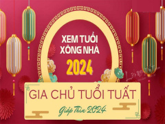Ảnh bìa bài viết 917976