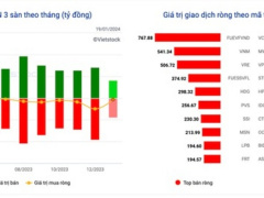 Ảnh bìa bài viết 918298