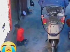 Ảnh bìa bài viết 918400