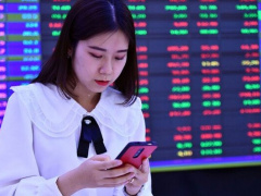 Ảnh bìa bài viết 918462