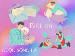 Ảnh bìa bài viết 918422