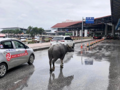 Ảnh bìa bài viết 918469