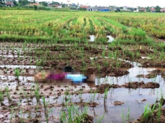 Ảnh bìa bài viết 918339