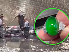 Ảnh bìa bài viết 918569