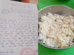 Ảnh bìa bài viết 918804