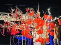Ảnh bìa bài viết 919087