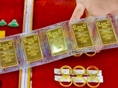 Ảnh bìa bài viết 919077