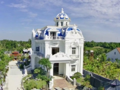 Ảnh bìa bài viết 919283