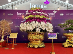 Ảnh bìa bài viết 919298