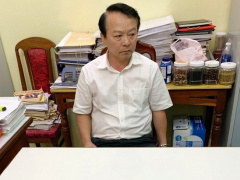 Ảnh bìa bài viết 919307