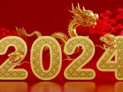 Ảnh bìa bài viết 919443