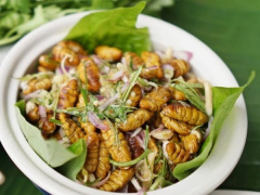 Ảnh bìa bài viết 919490