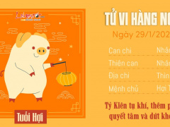 Ảnh bìa bài viết 919447