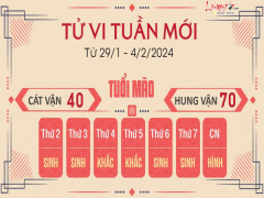 Ảnh bìa bài viết 919468
