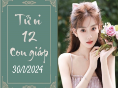 Ảnh bìa bài viết 919618