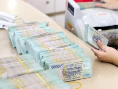 Ảnh bìa bài viết 919669
