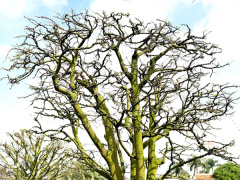 Ảnh bìa bài viết 919926