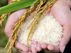 Ảnh bìa bài viết 919828