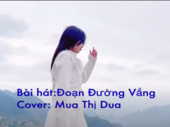 Ảnh bìa bài viết 919918