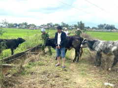 Ảnh bìa bài viết 919948