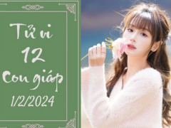Ảnh bìa bài viết 919982