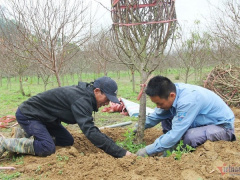 Ảnh bìa bài viết 920036