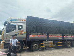 Ảnh bìa bài viết 920432