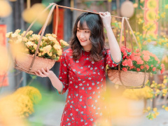 Ảnh bìa bài viết 920649
