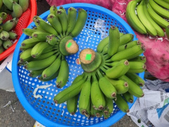 Ảnh bìa bài viết 921186