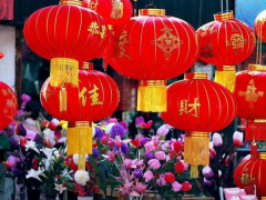 Ảnh bìa bài viết 921433