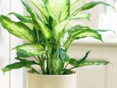 Ảnh bìa bài viết 921619