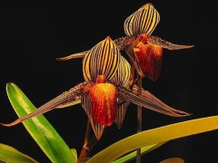 Ảnh bìa bài viết 921652