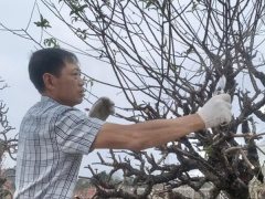 Ảnh bìa bài viết 922019