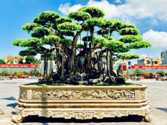 Ảnh bìa bài viết 922127