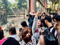 Ảnh bìa bài viết 922324