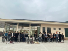 Ảnh bìa bài viết 922419