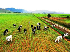 Ảnh bìa bài viết 923009
