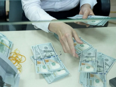 Ảnh bìa bài viết 923131