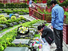 Ảnh bìa bài viết 923051